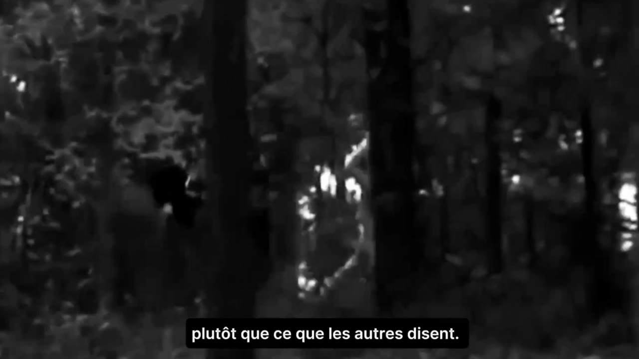 Aperçu de la vidéo de présentation Sargo Digital